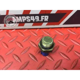 Sonde de température d'eau 