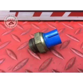 Sonde de température d'eau 