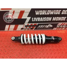 Amortisseur arrière 