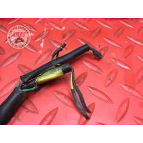 Faisceau électrique principale 