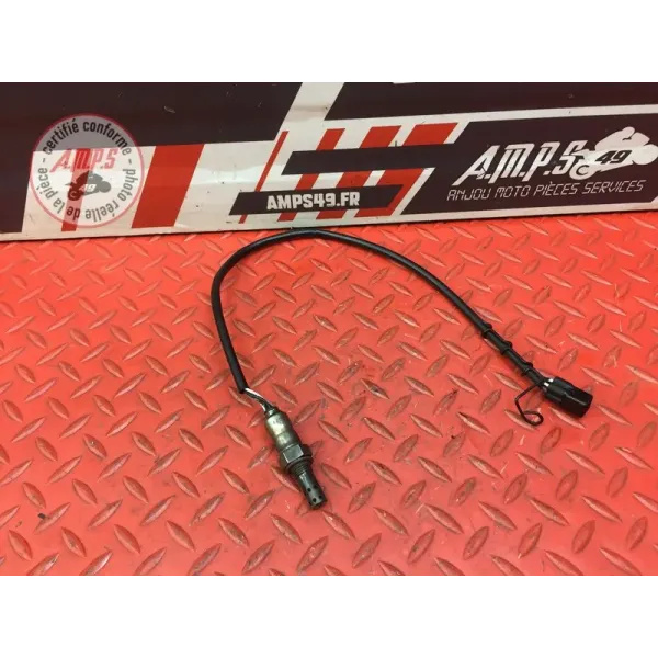 Sonde lambda Triumph 1050 Speed Triple 2005 à 2010