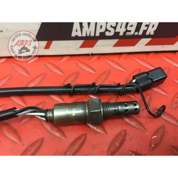 Sonde lambda Triumph 1050 Speed Triple 2005 à 2010