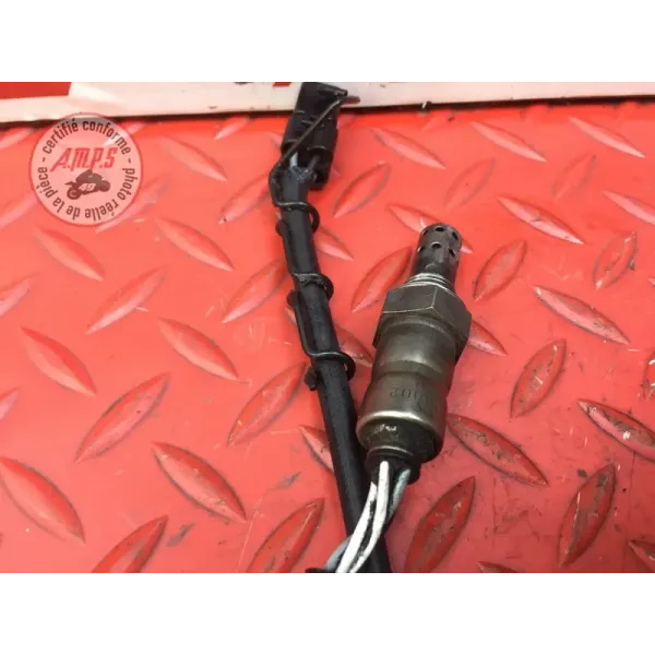 Sonde lambda Triumph 1050 Speed Triple 2005 à 2010