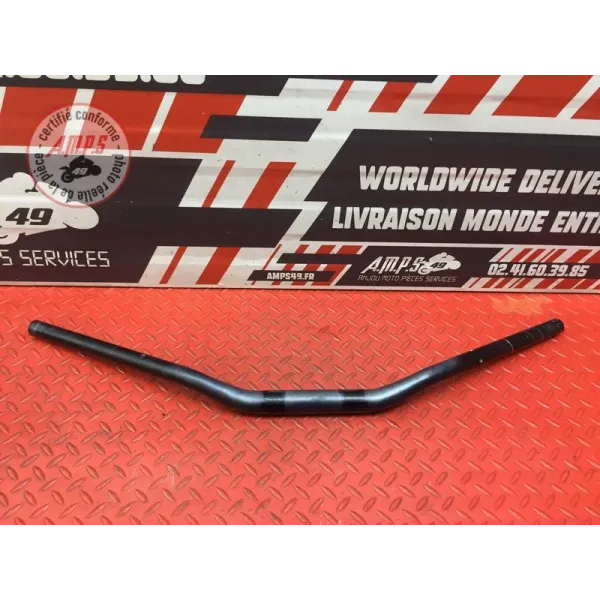 Guidon Rizoma