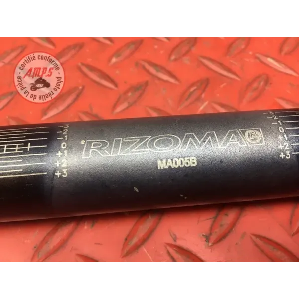 Guidon Rizoma 