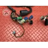 Faisceau électrique principale Suzuki SV N 650 1999 à 2002
