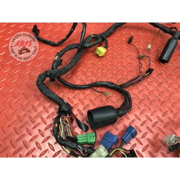 Faisceau électrique principale Suzuki SV N 650 1999 à 2002