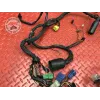 Faisceau électrique principale Suzuki SV N 650 1999 à 2002
