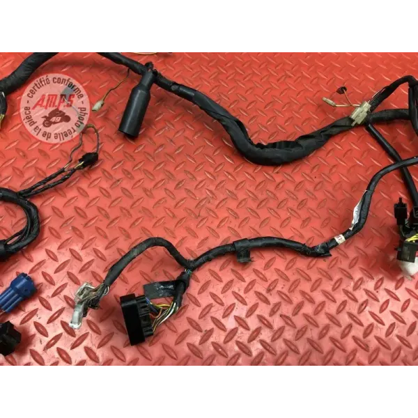 Faisceau électrique principale Suzuki SV N 650 1999 à 2002