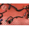 Faisceau électrique principale Suzuki SV N 650 1999 à 2002