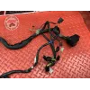 Faisceau électrique principale Suzuki SV N 650 1999 à 2002