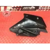 Ecope de radiateur droit Kawasaki Z900 2017 à 2019