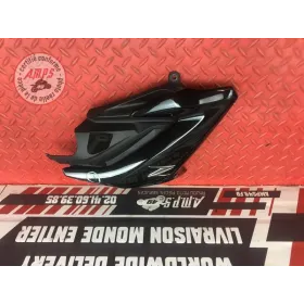 Ecope de radiateur gauche 