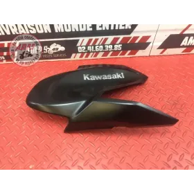 Ecope de reservoir droite Kawasaki Z900 2017 à 2019