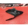 Ecope de reservoir droite Kawasaki Z900 2017 à 2019