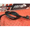 Cable de masse Kawasaki Z900 2017 à 2019