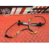 Clignotants adaptable Kawasaki Z900 2017 à 2019