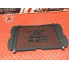 Grille de radiateur Kawasaki Z900 2017 à 2019