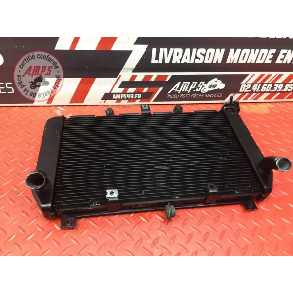 Radiateur d'eau Kawasaki Z900 2017 à 2019