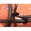 Kit de durite frein Kawasaki Z900 2017 à 2019