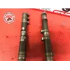 Paire d'arbre a cames Yamaha R1 2000 à 2012