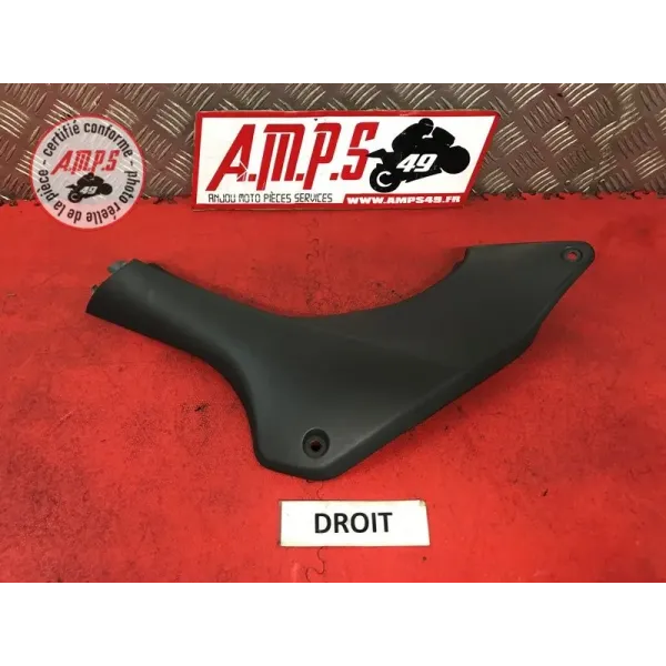 Cache sur flanc de carénage droit Honda 600 Hornet 1998 à 2002