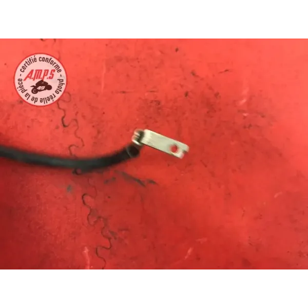 Cable de masse 