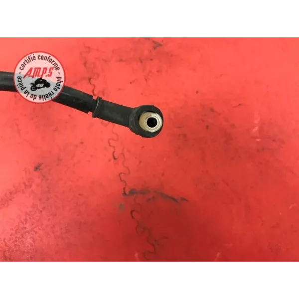 Cable de masse 