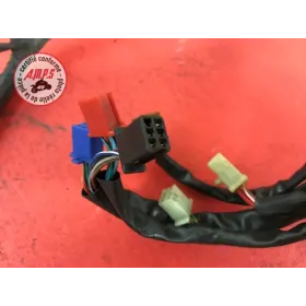 Faisceau électrique principale 