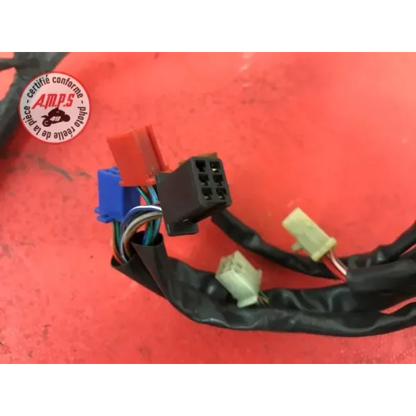 Faisceau électrique principale Honda 600 Hornet 1998 à 2002