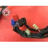 Faisceau électrique principale Honda 600 Hornet 1998 à 2002