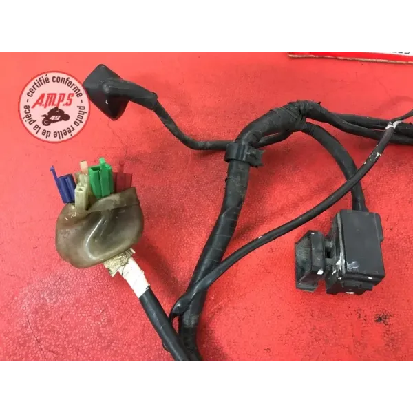 Faisceau électrique principale Honda 600 Hornet 1998 à 2002