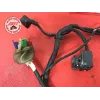 Faisceau électrique principale Honda 600 Hornet 1998 à 2002