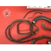 Kit de durite de refroidissement Honda 600 Hornet 1998 à 2002