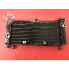 Radiateur d'eau 