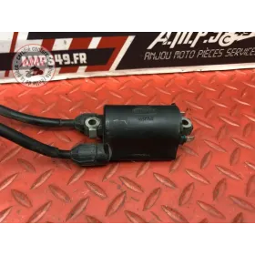 Bobine d'allumage gauche 