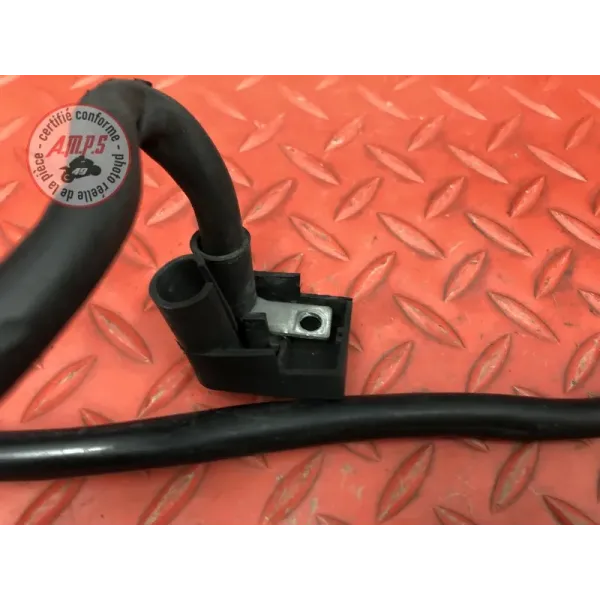 Cable de batterie 