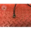 Cable de masse Honda 600 Hornet 1998 à 2002