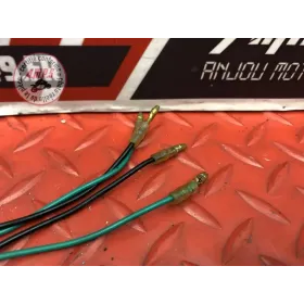 Clignotants arriere adaptable 