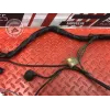 Faisceau électrique principale