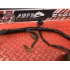 Faisceau électrique principale