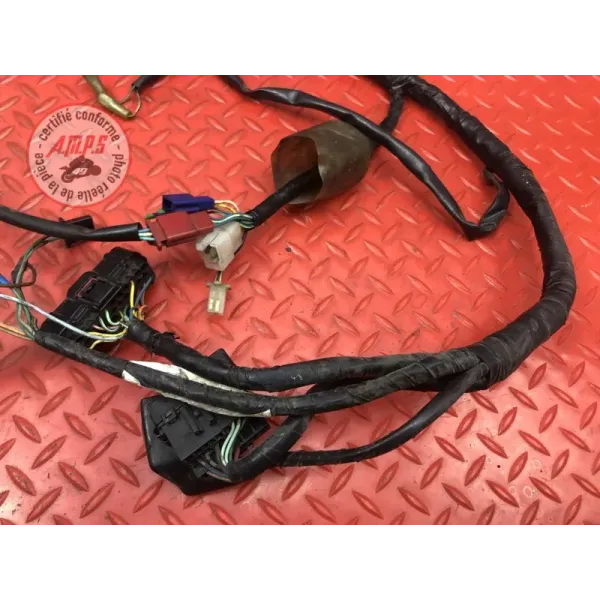 Faisceau électrique principale 