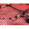 Faisceau électrique principale