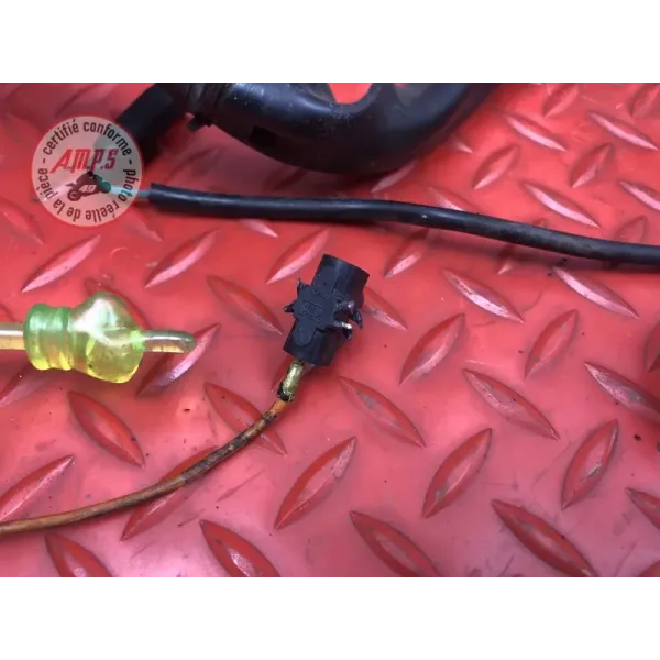 Faisceau électrique principale 