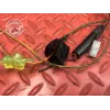 Faisceau électrique principale
