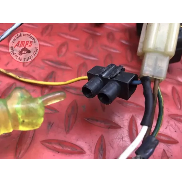 Faisceau électrique principale 
