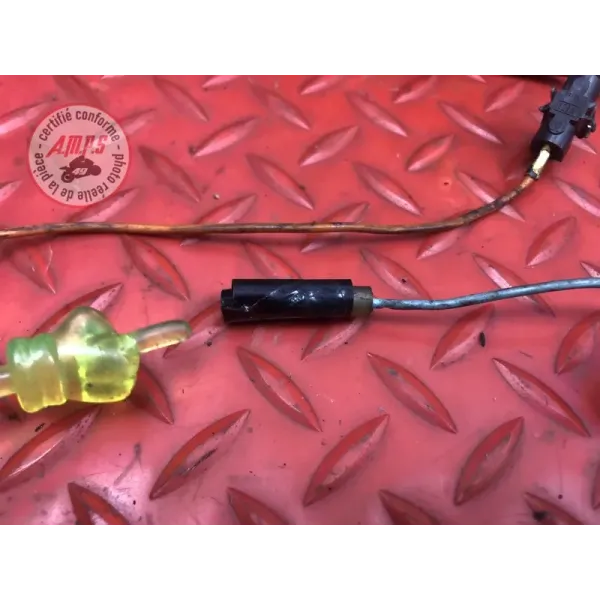 Faisceau électrique principale 