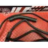 Kit de durite de refroidissement Honda 600 Hornet 1998 à 2002