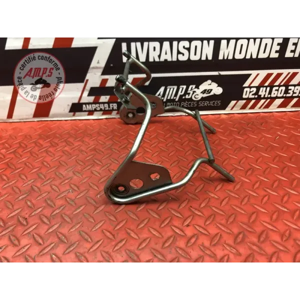 Araignée 