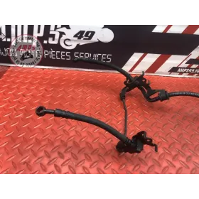 Durite de frein avant 